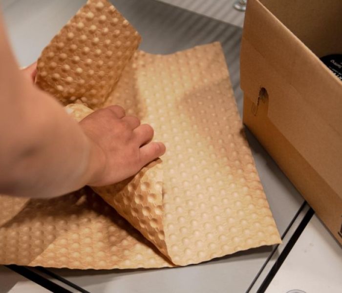 Papair x Rossmann (Foto: Papair GmbH)